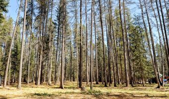 518 Eastman Dr, Bigfork, MT 59911