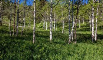 Trail Creek Road Lot 3, Bozeman, MT 59715