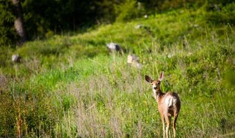 Trout Pond Lane lot 7, Big Sky, MT 59716