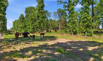 210 County Road 320, Alton, MO 65606