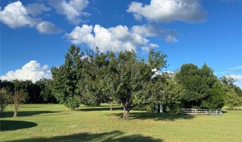 5559 SW 42ND Pl, Bell, FL 32619