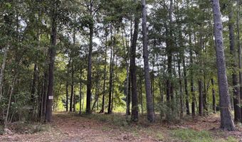 0 Providence Cir, Awendaw, SC 29429