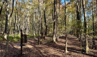 TBD Binnicker Bridge Road, Bamberg, SC 29003