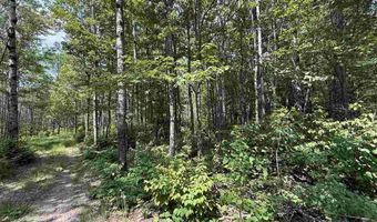 TBD Samuelson Road - Sec 15, Angora, MN 55703