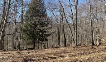 L22.2 Alder Pond Road, Andes, NY 13740