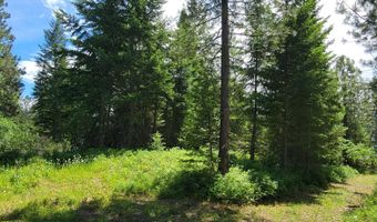 NNA Continental Lane-Parcel 3, Bonners Ferry, ID 83805