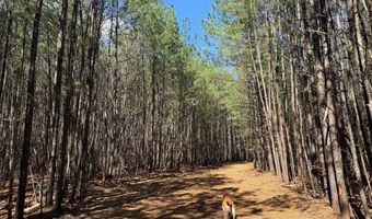 MOUNTAIN CUT RD lot D, Appomattox, VA 24522