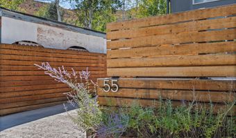 55 Bear Trl, Aspen, CO 81611