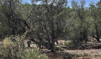 179 Arizona Rd, Ash Fork, AZ 86320