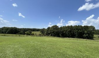 5398 County Road S5-307, Ava, MO 65608