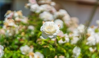 27659 Flaming Arrow Dr, Rancho Palos Verdes, CA 90275
