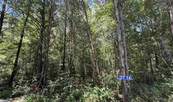 14 Hogs Ln, Albertville, AL 35951