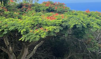 89-843 POHULAI Rd, Captain Cook, HI 96704