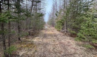 5280 Cathro Rd, Alpena, MI 49707