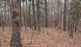Lots B & C Miller Road, Camden, SC 29020