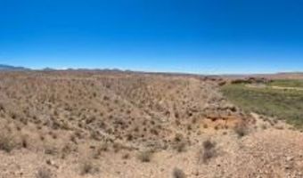 4755 Gold Butte Rd, Bunkerville, NV 89007