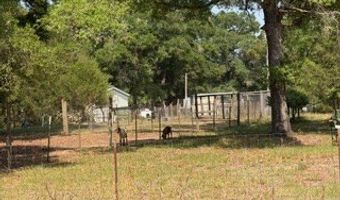 4760 NW 55th Ave, Bell, FL 32619