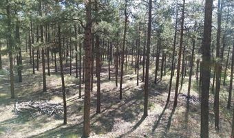 782 Hawks Meadow Dr, Bayfield, CO 81122