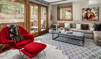 610 S West End St K102, Aspen, CO 81611