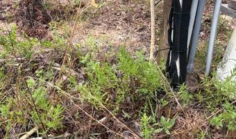 4539 NW Miller/White LN Rd, Altha, FL 32421