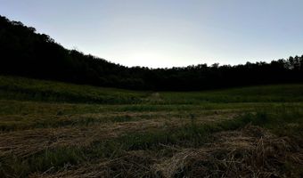 TBD Bear Pen Rd, Arkansaw, WI 54721