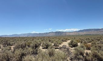 Fenceline Road, Gardnerville, NV 89410