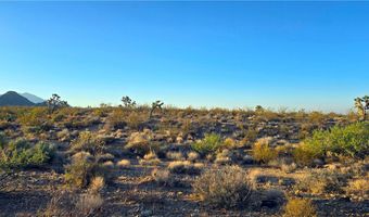 6 E Allison Dr, Yucca, AZ 86438