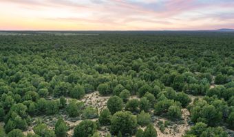 39 Acres Off South Carson Rd, Carson, NM 87517