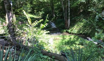 275 W Pines Rd, Afton, TN 37616