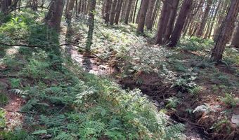 0 COUNTY ROUTE 41, Afton, NY 13730