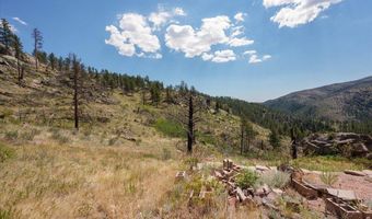 693 Cougar Dr, Bellvue, CO 80512