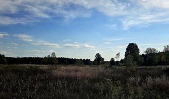 303 Westwood Rd NW, Alden, MI 49612