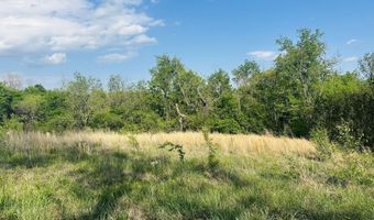 Ritz View Dr lot # 26, Blaine, TN 37709