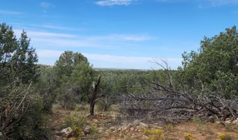912 Westwood Rnch, Ash Fork, AZ 86320