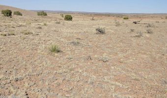 986 Concho Hwy, Concho, AZ 85924