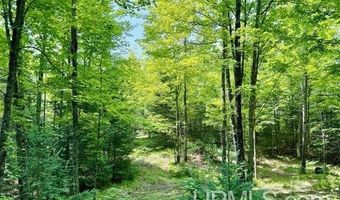TBD Net River, Amasa, MI 49903
