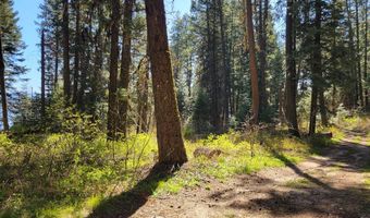 22 Melody Ln Lot 10, Cascade, ID 83611