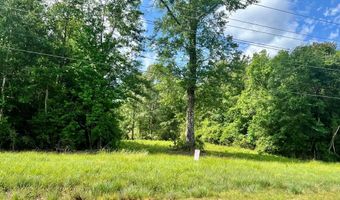 LOT 2 HWY 24, Centreville, MS 39631