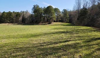 217 281, Banner, MS 38913