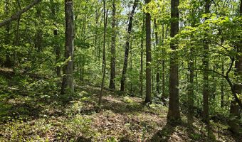 UC001 Grandmas Hill Road, Amherst, VA 24521