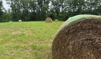 9891 Baskerville Rd, Baskerville, VA 23915