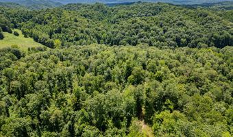 2291 Blankey Branch Rd, Beattyville, KY 41311