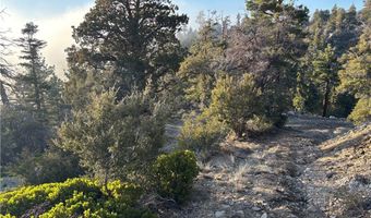 Ironwood, Angelus Oaks, CA 92305