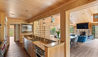 100 Difficult Ln, Aspen, CO 81611