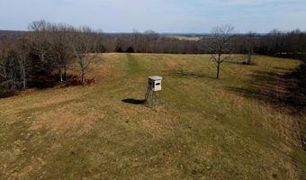 County Road 529, Ava, MO 65608