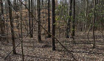 285 Co Rd 235, Arley, AL 35541
