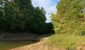 Bayside Boulevard lot 66, Bean Station, TN 37708