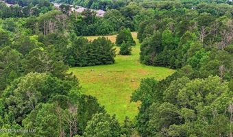 Vine Drive, Brandon, MS 39047