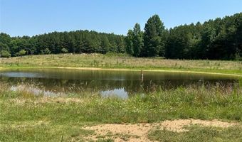 0 Highway 140 Tract F NW, Adairsville, GA 30103