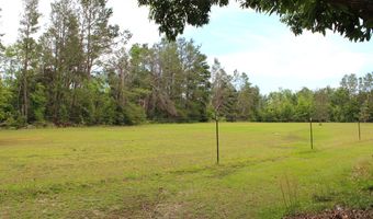 3080 Slaughter Rd, Perry, FL 32347